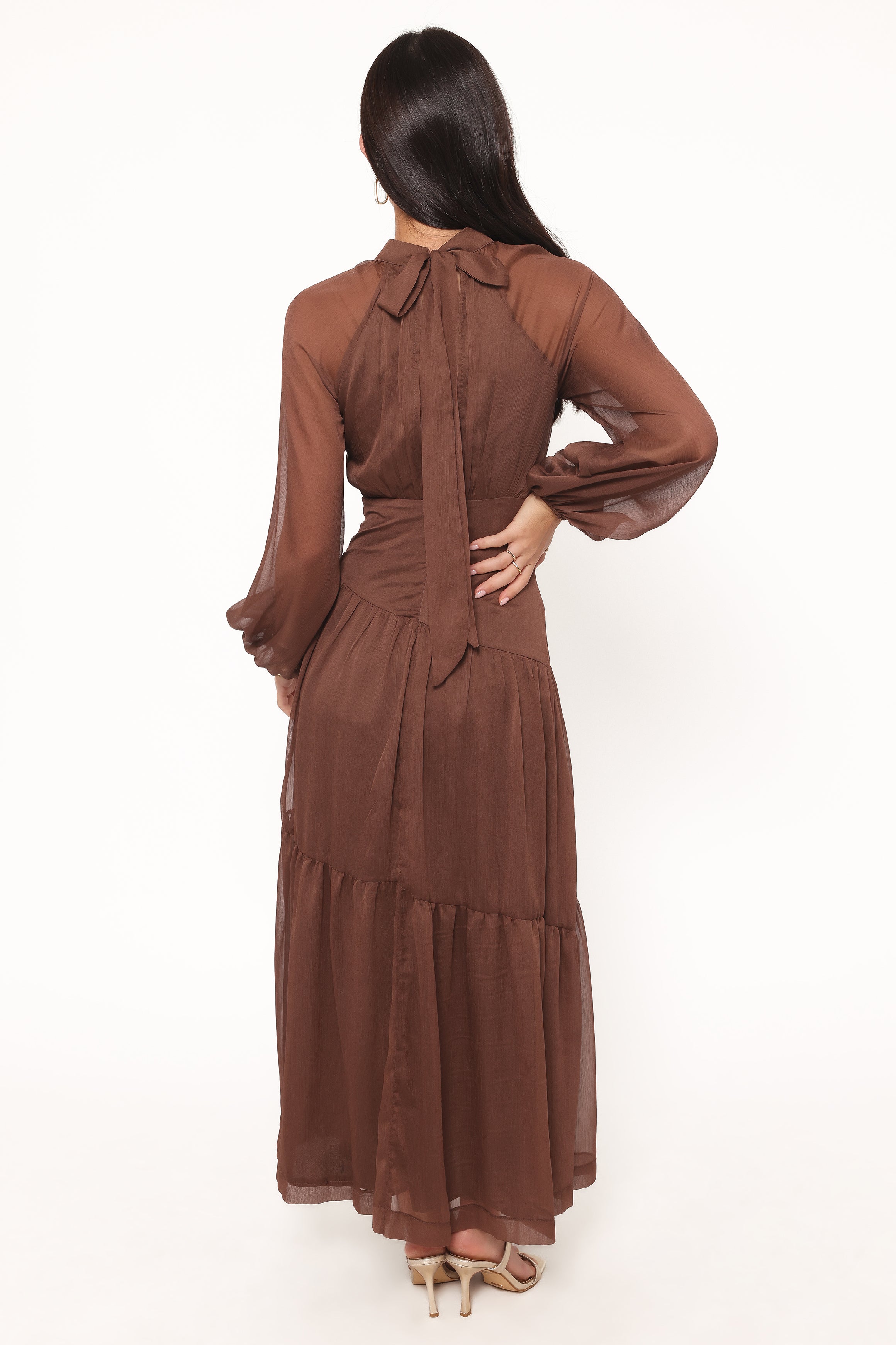 DRESSES Julip Sheer Long Sleeve Maxi Dress - Brown