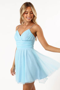 DRESSES @Kienna Tulle Mini Dress - Blue