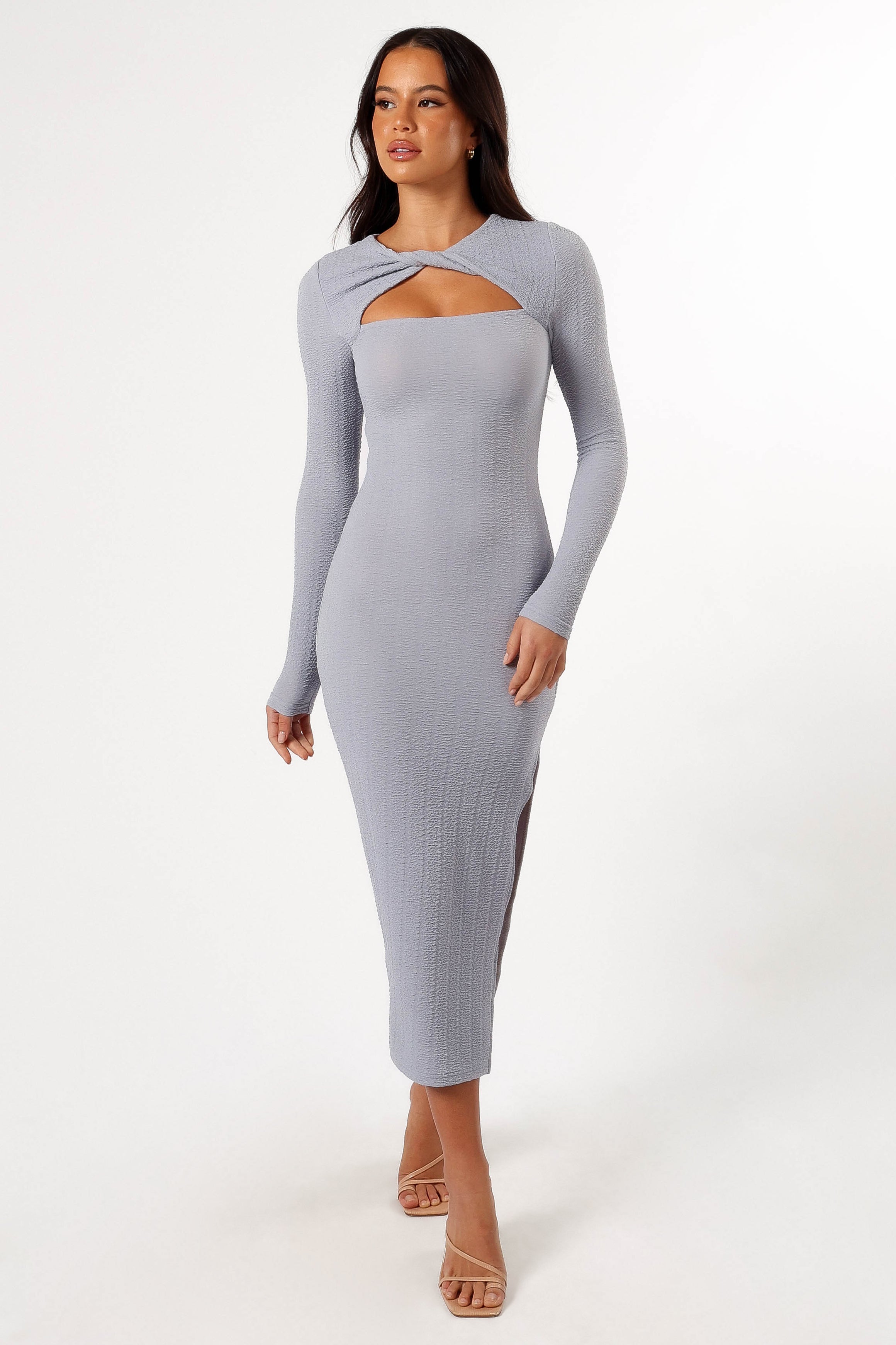 Laney Long Sleeve Midi Dress Grey Petal Pup