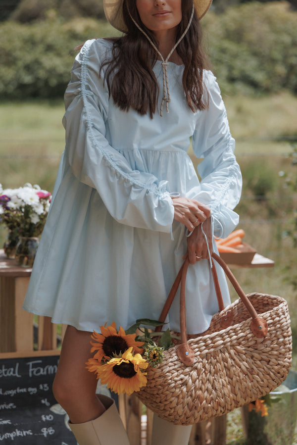 DRESSES Micaela Long Sleeve Mini Dress - Baby Blue