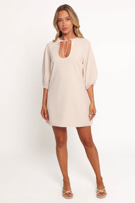 DRESSES Sidney Mini Dress - Tan Stripe