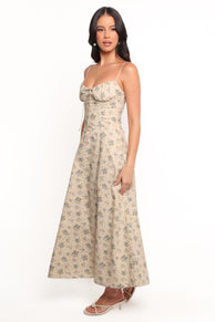 DRESSES Tiarna Maxi Dress - Blue Floral