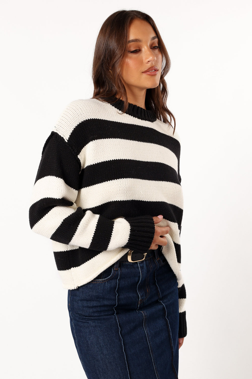 Gretchen Stripe Crewneck Knit Sweater - Black - Petal & Pup