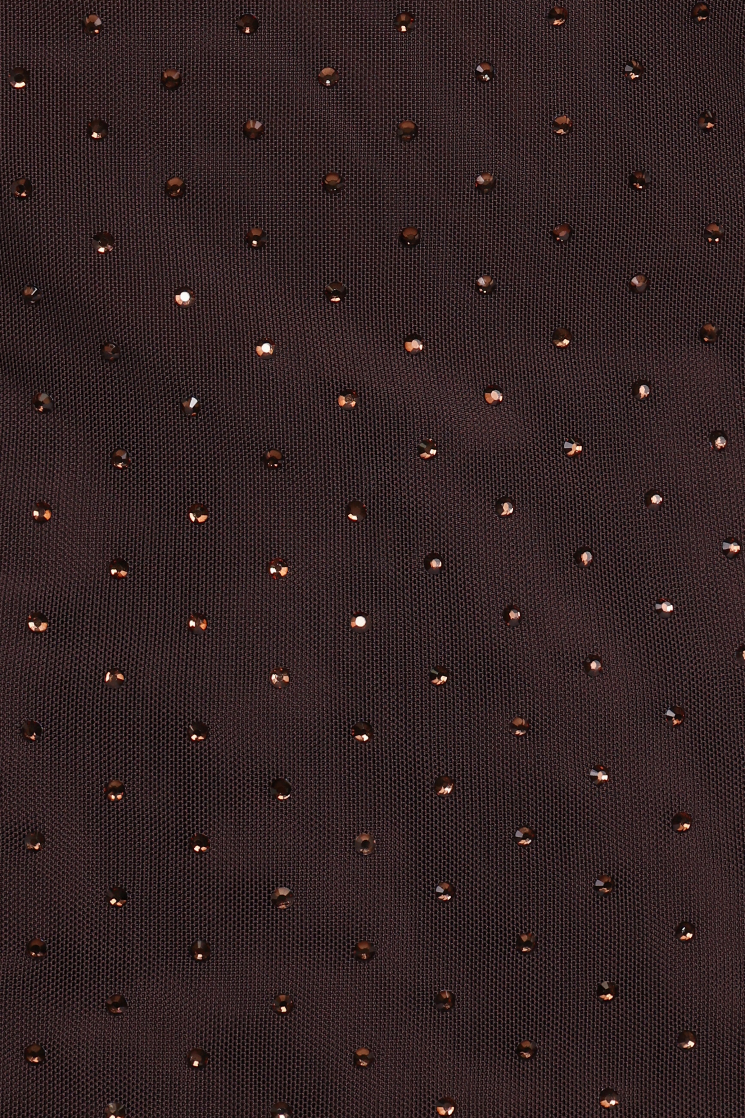 TOPS Alejandra Embellished Mesh Top - Dark Chocolate