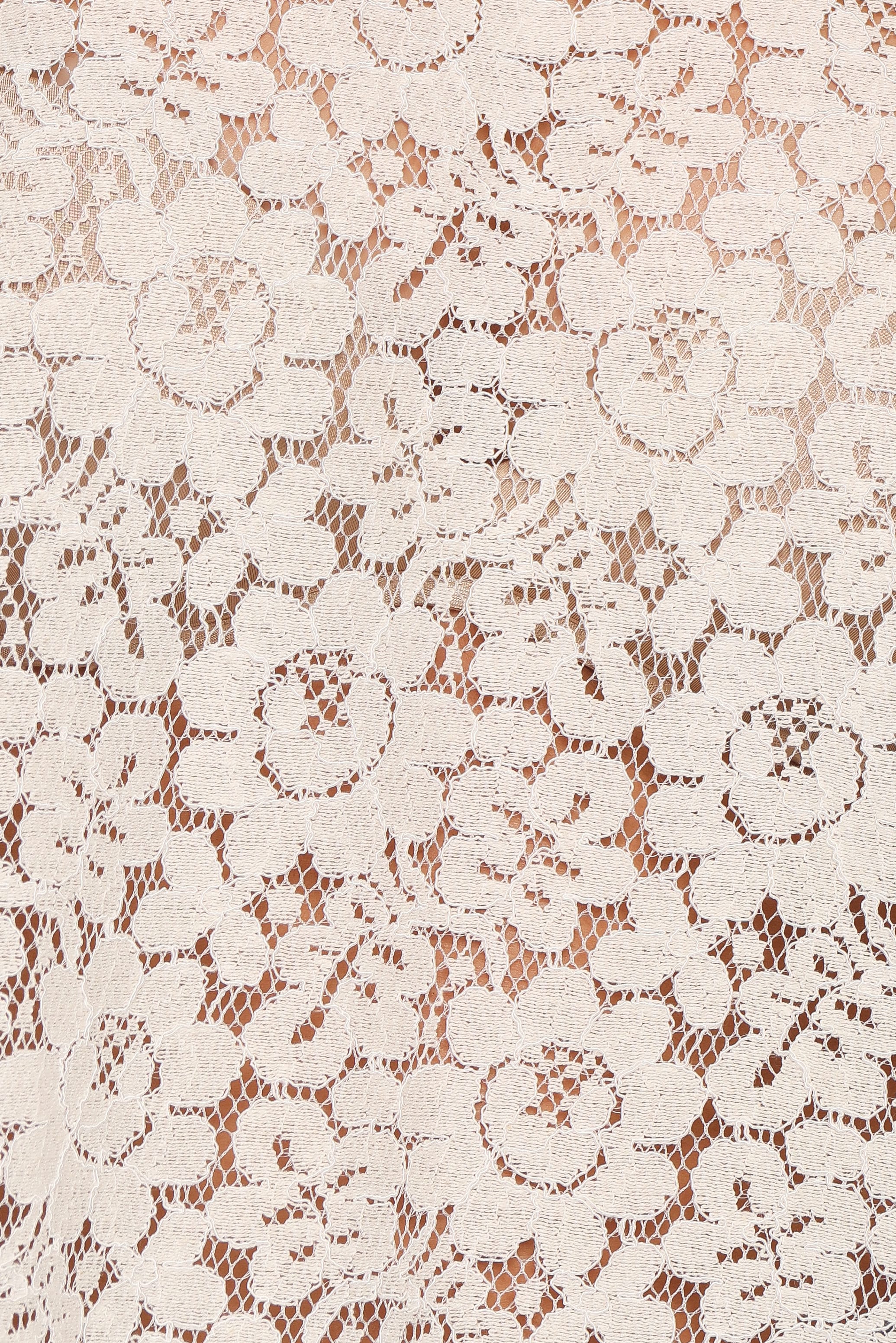 TOPS Indra Lace Tee - Cream