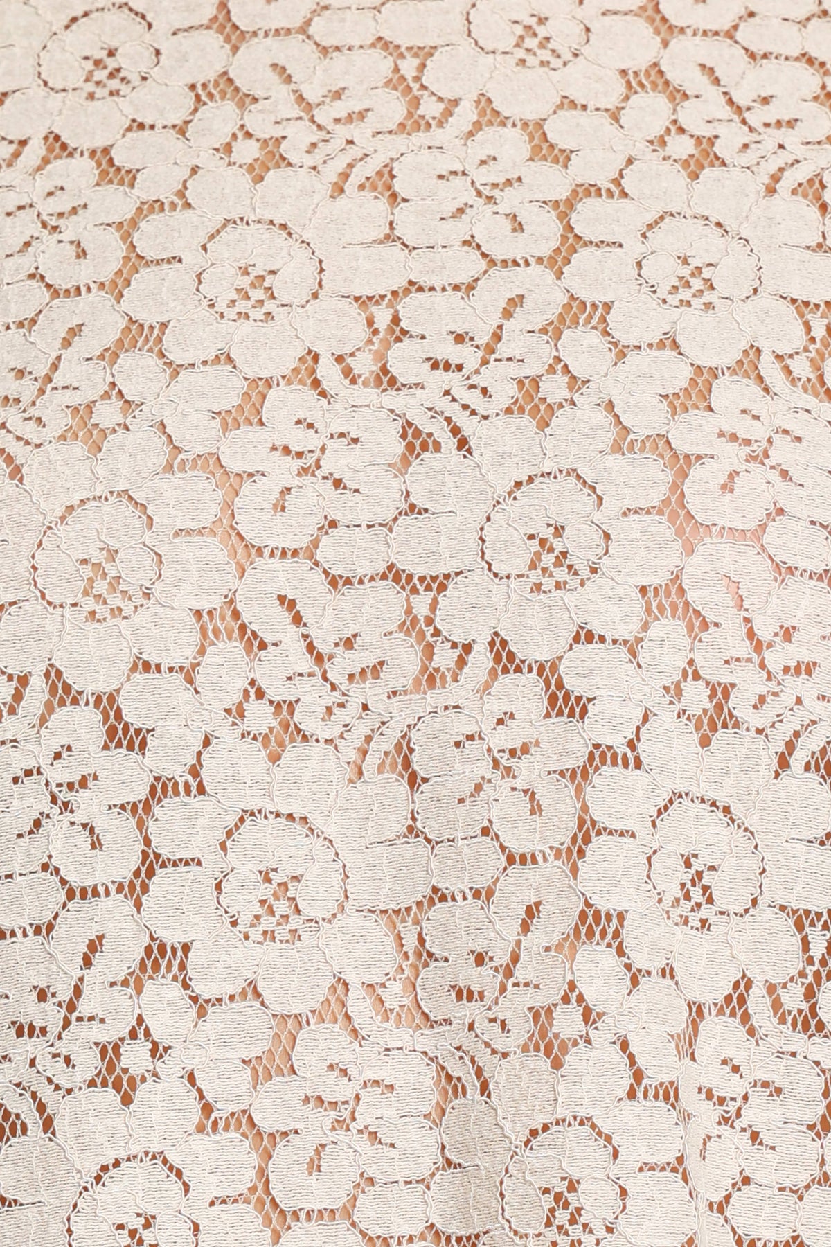 TOPS Misty Shell Top - Cream Lace