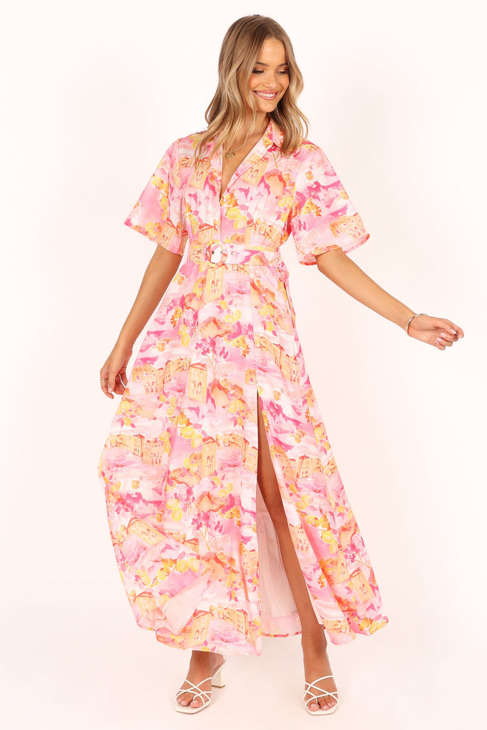 https://petalandpup.com.au/cdn/shop/products/petal-and-pup-au-dresses-arianna-maxi-dress-pink-scenic-32175215411311_1024x1024.jpg?v=1685406411
